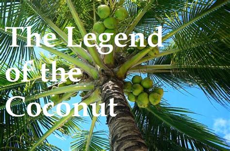  The Origin of the Coconut Palm: Een magische legende over een vrouw en een god met een voorliefde voor kokospalmen!